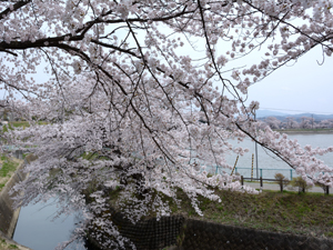 DSC_1674_01_.jpg