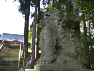 toyokage10.jpg