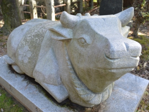 toyokage17.jpg