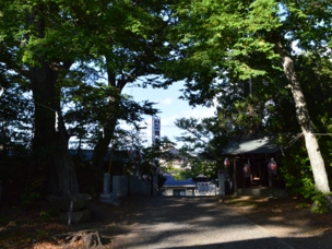 hiyoshi12.jpg